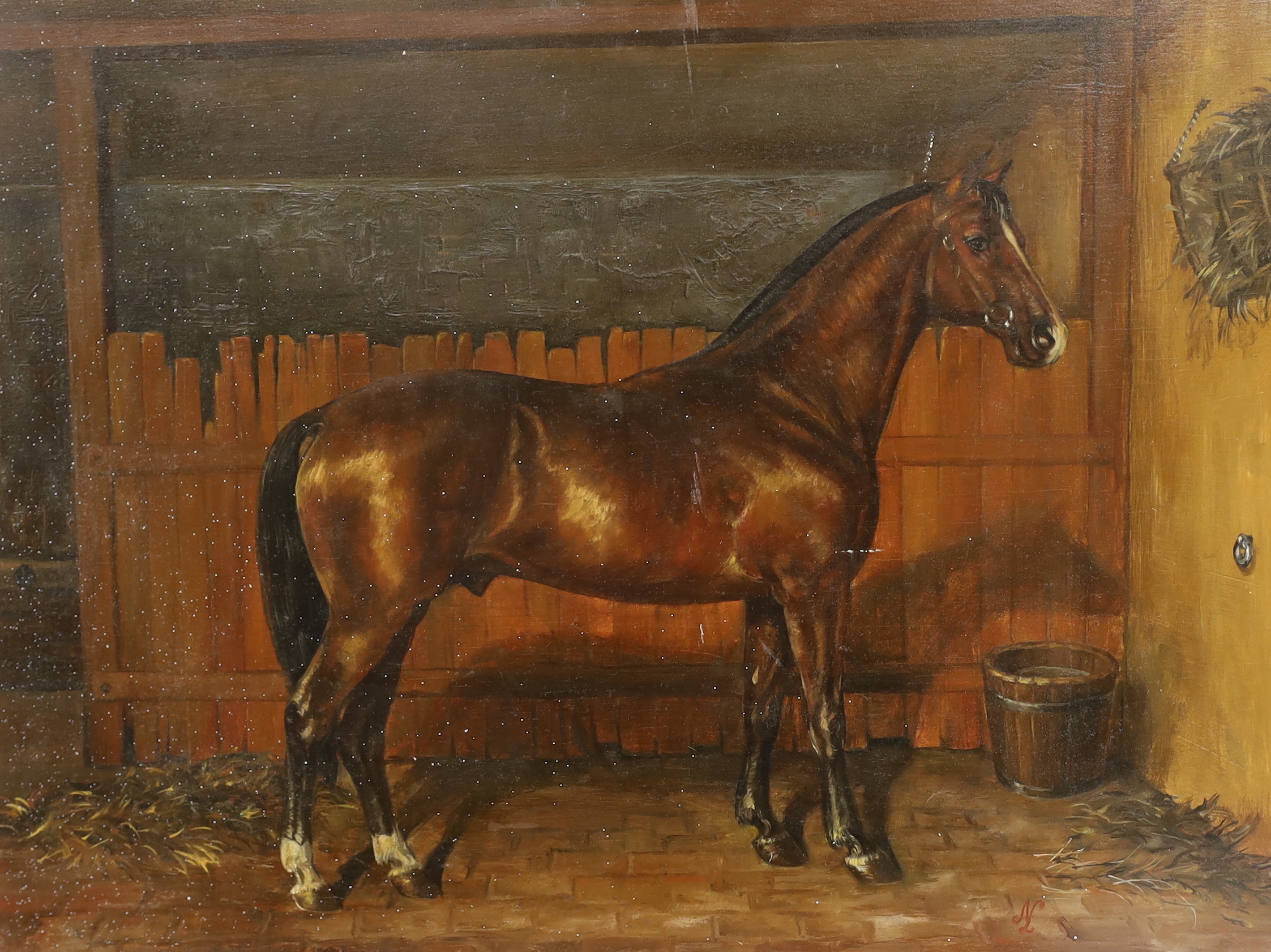 K. M. Nadler (20th. C), oil on board, Study of a bay horse in a stable, signed, 31 x 40cm, unframed